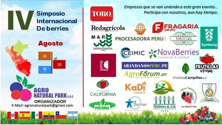 4to Simposio Internacional de Berries en Perú se llevará a cabo en Agosto en modalidad online