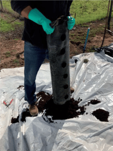 frutilla/fresa en sustrato