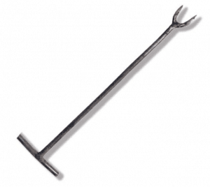 frutilla/fresa en sustrato