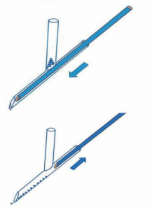 frutilla/fresa en sustrato