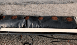 frutilla/fresa en sustrato