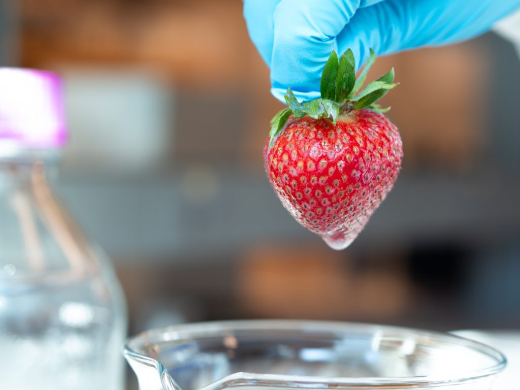 recubrimiento comestible para frutillas