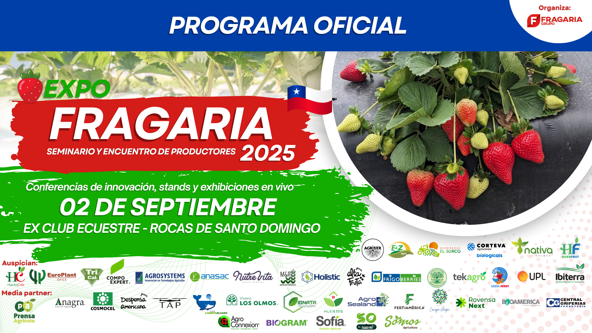 Producción Mundial Frutilla