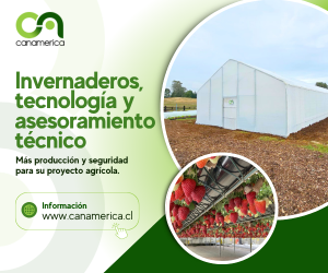 Banner 600x500 Canamerica (5)