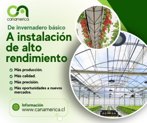 Banner 600x500 Canamerica (6)