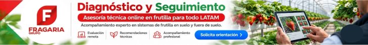 Banner asesoria lat1
