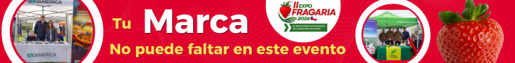 banner EF2026 2