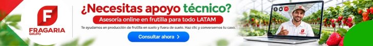 banner asesoria online lat2