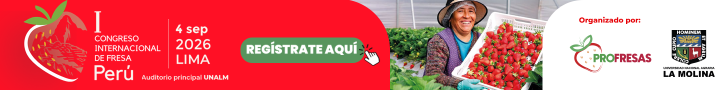 banner_web3