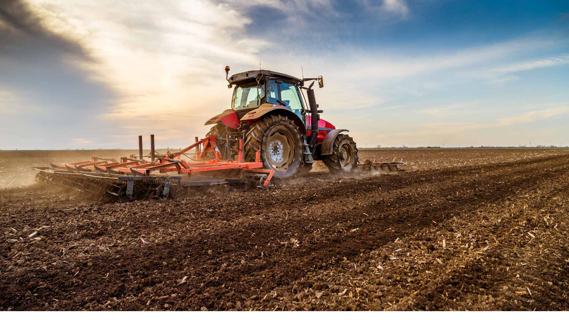 Maquinaria Para Cultivo De Frutillas: Guía Técnica Profesional para Productores LATAM