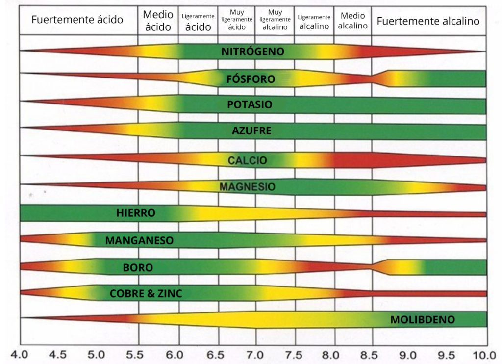 análisis de suelo en frutilla
