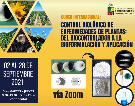 Curso Internacional de Control Biológico de Enfermedades en Plantas 2021: del Biocontrolador a la Bioformulación y Aplicación