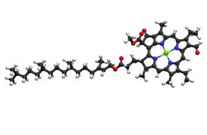 magnesio en la frutilla/fresa